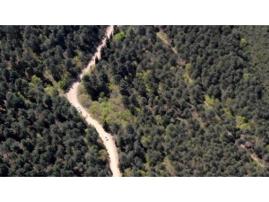 Ormanlık Alandaki Şüpheli Şahsa Droneli Operasyon