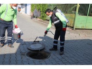 Efeler Belediyesi’nden Haşerelere Geçit Yok