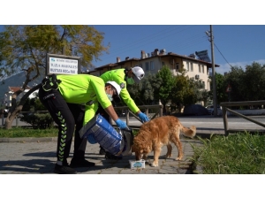 Fethiye’de Polis, Sokak Hayvanlarına Mama Bıraktı