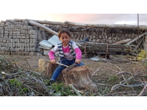 Herkes Evde, Onlar Çalışıyor