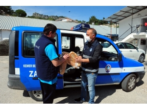 Kemer’de Ekmek Dağıtımı Devam Ediyor