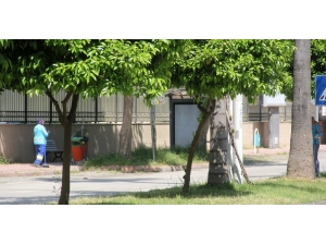 Sokağa Çıkma Kısıtlamasında Da Çalıştılar