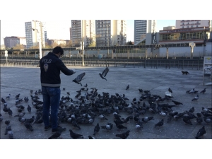 Sokağa Çıkma Kısıtlamasında Polis Aç Kalan Güvercinleri Elleriyle Besledi