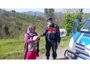 2 Milyon 300 Bin Haneye 1000’er Tl Nakdi Destek Ödemeleri Başladı