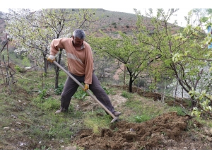 Herkes Evde Onlar Tarlada