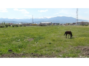 İnegöl’de Sokağa Çıkma Kısıtlamasının İkinci Günü Böyle Geçti