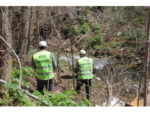 Bitlis’te Polenli Ağaçlar Kesilmeye Başlandı