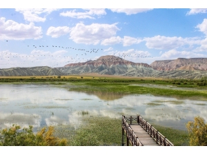 Nallıhan Kuş Cennetine Göçmen Kuşlar Gelmeye Başladı