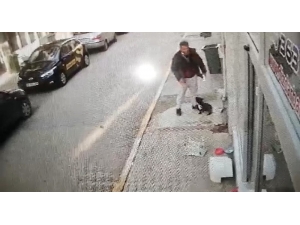 Köpeği Önce Sevdi, Sonra Çaldı