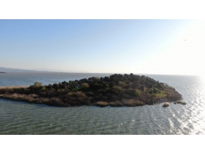 Ada Sahibi Çiftçi Cristiano Ronaldo’dan Umudu Kesti Fatih Terim’e Seslendi