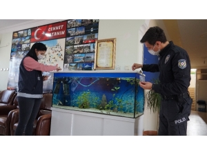 Okulda Aç Kalan Balık Ve Köpeklerin İmdadına Polis Yetişti