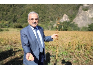 Ordu’da ‘Sözleşmeli Tarım’ Atağı