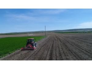 Virüs Onların Çalışmasına Engel Olmuyor