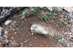 Siirt’te Pkk’lı Teröristlerce Araziye Tuzaklanan Patlayıcı Tespit Edildi