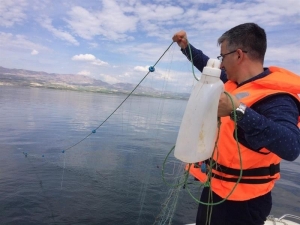 Yasağa Rağmen 2 Bin 500 Metre Balık Ağı Ele Geçirildi