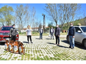 Hayvansever Kadından Sokak Hayvanlarına Yardım Eli