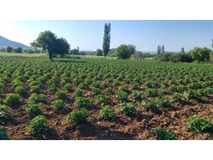 Çanakkale’de Sulama Sezonu Başladı