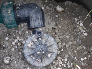 Kamu Malını Çaldılar, Kameralara Takıldılar