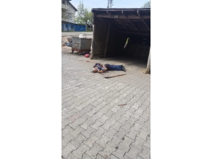 Arazi Kavgası Kanlı Bitti: 1 Ölü, 2 Yaralı