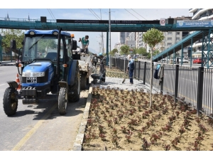 Mimar Sinan Bulvarında Peyzaj Çalışması Başladı