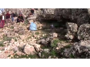 Ot Toplamaya Giderken Üzerine Yıldırım Düştü