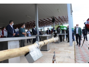 Malatya’nın Sevilen Yüzü ‘Mercedes Kadir’ Son Yolcuğuna Uğurlandı