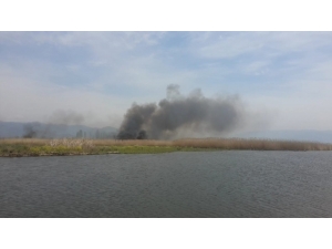 Etno Sporlarının Yapılacağı Bölge De Sazlık Yangını