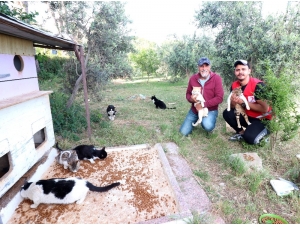 Gönüllü Gençlerden "Mamanı Al Bize Katıl" Kampanyası