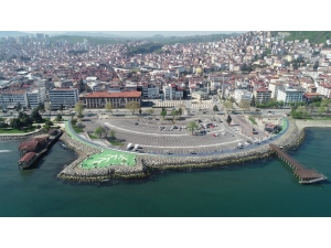 Altınordu’da Ayışığı Otoparkı Ağaçlandırılıyor