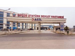 Yabani Arıların Saldırdığı Kadın Hastanelik Oldu