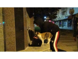 Eliyle Kediye Su Verdi