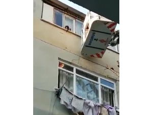 İtfaiye Ekipleri 5. Katın Penceresinden Düşen Kediyi Atlama Çadırıyla Kurtardı