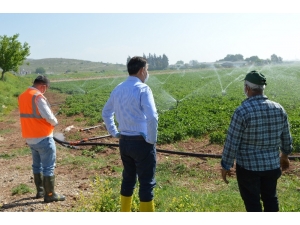 Evinden Çıkamayan Çiftçinin Tarlasını Dsi Suladı