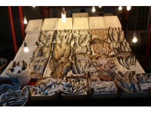 Balık Sezonu Kapandı Ama Fiyatlar Artmadı