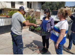 Buca’da Balkon Tarımı Başladı: “Evde Kal, Evde Üret”