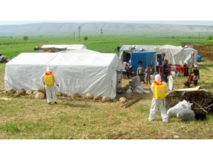 Mevsimlik Tarım İşçilerinin Çadırları Dezenfekte Edildi