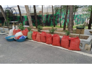 Salep Soğanını Toplayan Şahsa 73 Bin 747 Lira Para Cezası Kesildi