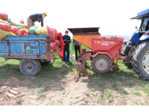 Niğde’de Patates Ekimi Başladı