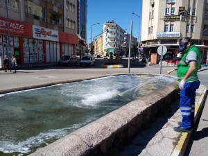 Haşereyle Mücadele Sürüyor