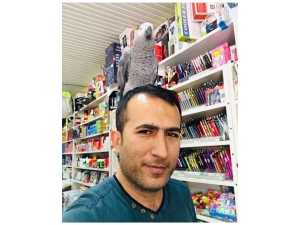 Papağandan “Evde Kal Türkiye” Çağrısı