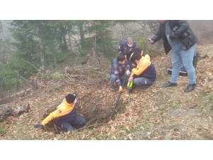 Sinop’ta Kaybolan Çocuğu Arama Çalışmaları Sürüyor