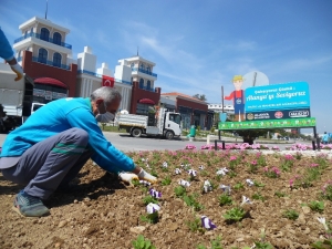 Yaz Ayları İçin Mevsimlik Çiçek Dikimleri Başladı