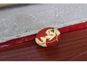 Bu Tavuk Maydanoz Desenli Yumurtluyor