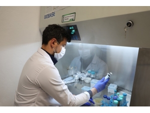 Covid-19 Salgını İçin İlaç Üretimini Hızlandıracak Kritik Enzim Üretilecek