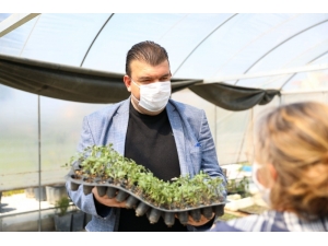 Seferihisar’da 50 Bin Fide Dağıtımı Yapılacak