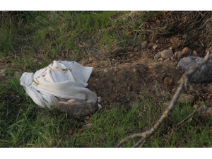 Hemşirenin Gömdüğü Kedi Polisi Alarma Geçirdi