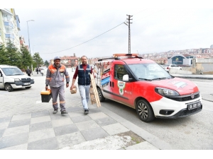 4 Günde Dört Dörtlük Hizmet