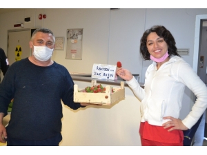 Ürettiği Çilekleri Sağlıkçılara İkram Etti