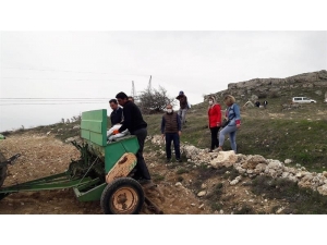 Yazıhan’a Yerli Kırmızı Mercimek Ekimi Yapıldı