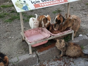 Devrek’te İyilik Daha Hızlı Buluşacak